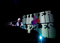 Silver Apples by W. Umeda